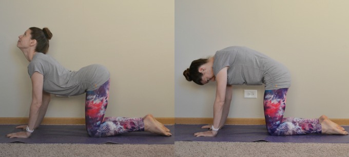 Yoga poses for the shoulders and neck: Cat and Cow Flow